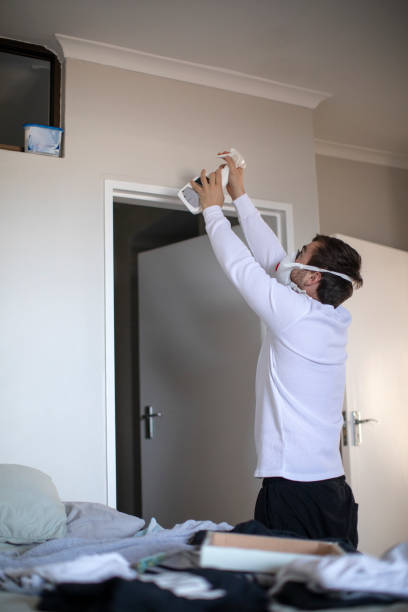 Best Mold Remediation for Healthcare Facilities  in Pebble Creek, FL