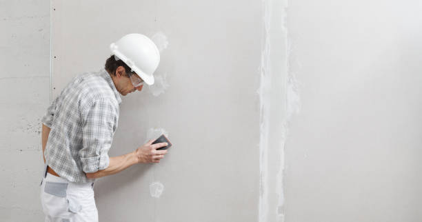 Best Emergency Mold Remediation  in Pebble Creek, FL