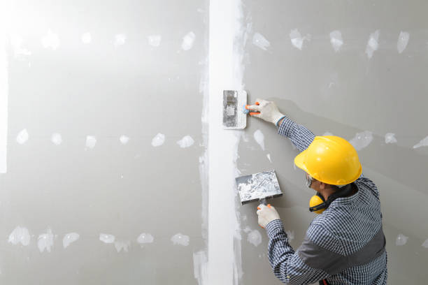 Trusted Pebble Creek, FL Mold Removal Experts