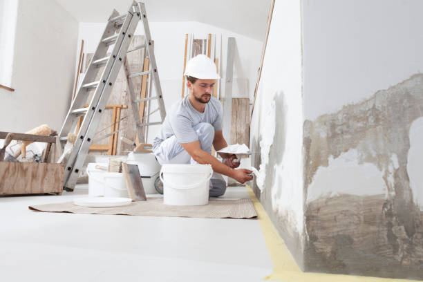 Best Black Mold Removal  in Pebble Creek, FL