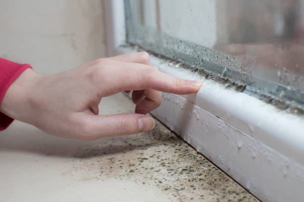 Best Air Quality Testing for Mold Spores  in Pebble Creek, FL