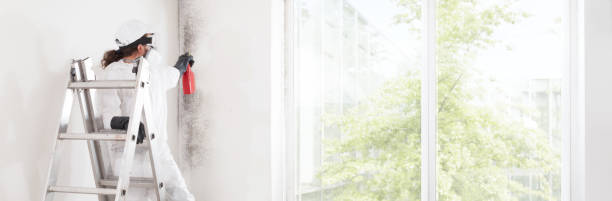 Best Mold-Related Health Consultation  in Pebble Creek, FL